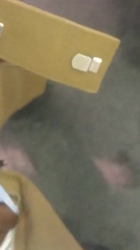 Vid_2025020