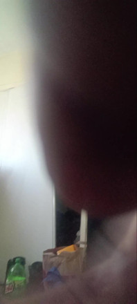 Hello Hello Dick