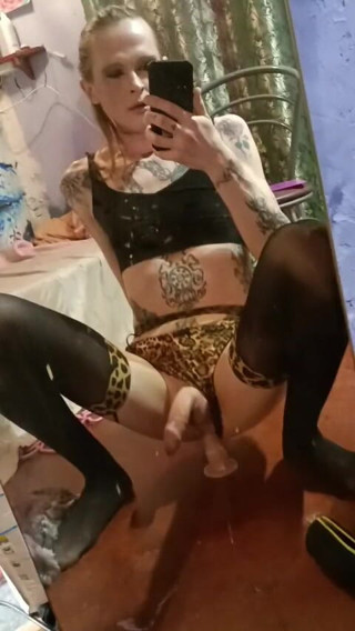 Rainbowdracat: Mein kleines dildospiel