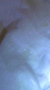 Hump in Mother in Law Panty Masturbation