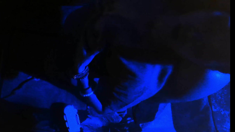 Busty Banuu: Indian Hot Couple Fuck