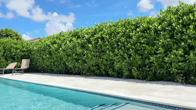 J-Mac: Lily Phillips follada junto a la piscina por Jmac
