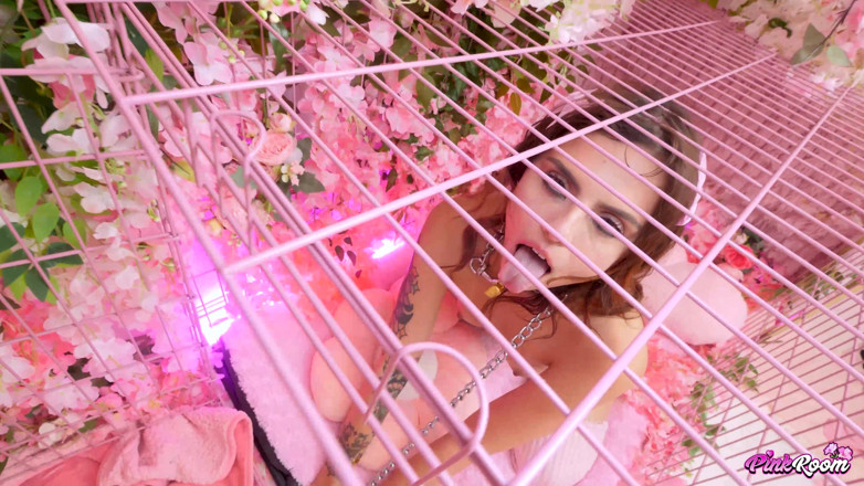 Nasty Sluts Studios: Pink Room Ep. 38: Pau louco angel windell recebe gozada interna