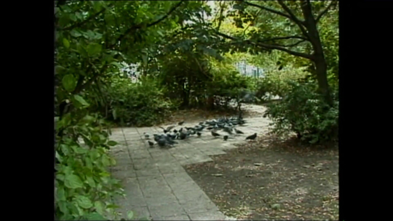 Deutschland porn: Naughty Nymphos Taking Every Hard Cock Without Shame