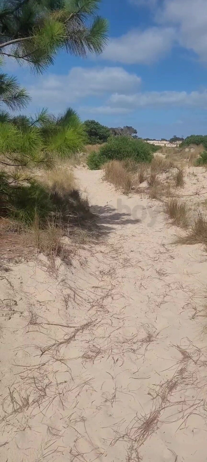 Guedes boy toy: Masturbación en la playa