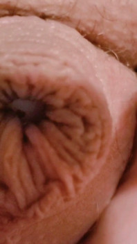 Into the Sarlacc Pit. Lee Przybylowicz Showing His Clitty Shrinkage