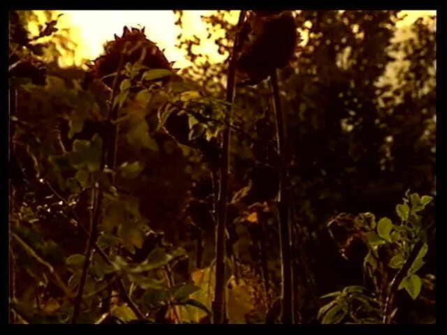 GERMAN PORN CLASSICS: Herzog video Wiener Glut deel 1 met Karin Schubert