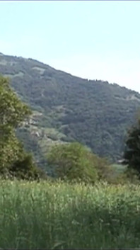 La più calda scopata a pecorina all'aperto per una panterona troia bionda italiana con un culo grosso