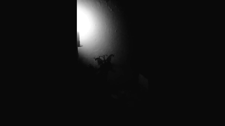 Dark Fire: Presente começo