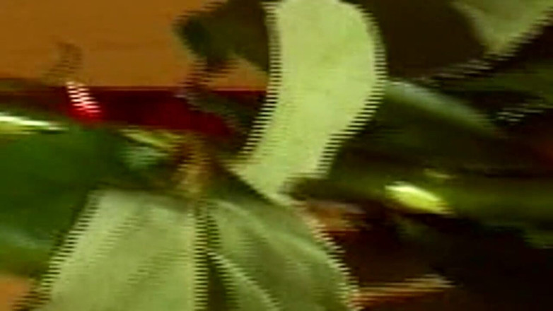 VELVET1984: Wypadanie rosebud kapiące niechlujny po intensywnym odcinku odbytu