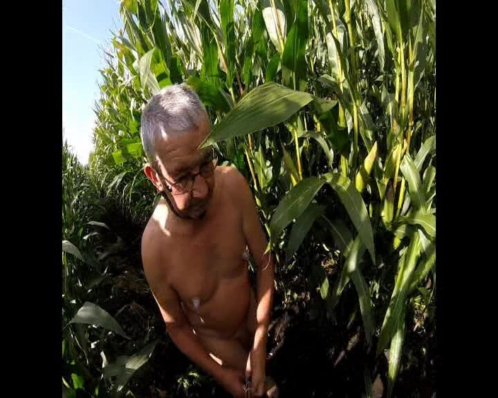 Andy: Maisspaziergang