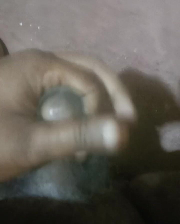 LegalVector8: Indischer schwanz