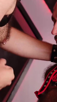 BEARFILMS Urso careca barbudo domina peluda bunda gay