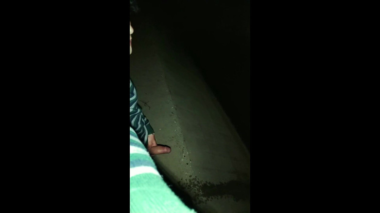 Idmir Sugary: Twink köprünün altında ereksiyonla işiyor - sünnetsiz yarak