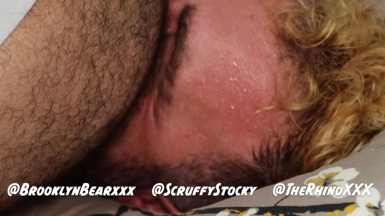 ScruffyStocky: Ursulețul păros zdrobește două pasive: Jocbook-uri de porc în trio futute