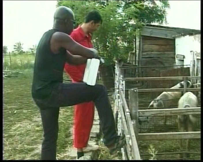 German Amateur Videos: Almanya'dan kızıl saçlı genç kız çiftlikte sikiliyor