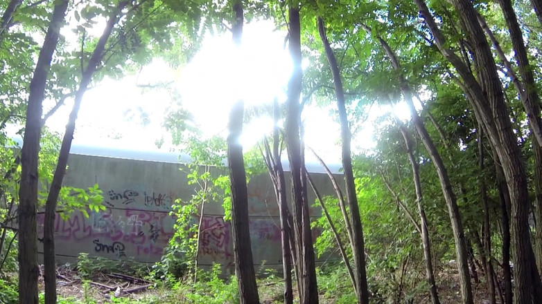 German Porn: Cachonda Seducción, DP En Follada En El Coche Y Follada...