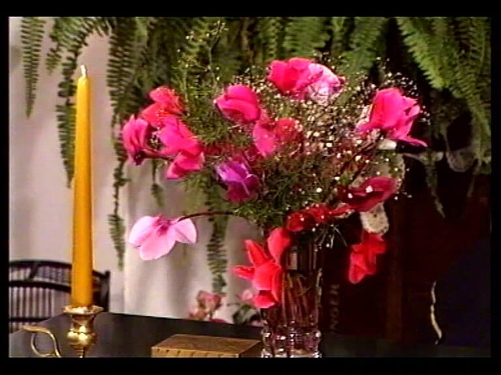 GERMAN PORN CLASSICS: Dolap parçaları