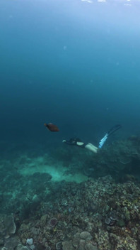 Just Dating the Ocean Will Be Back to Be Your Cum Slut Again Tomorrow