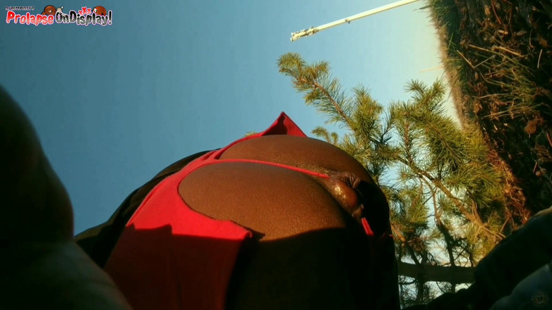 Ass Monkey: Destroyed Asshole