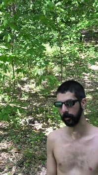 Fist in Forest