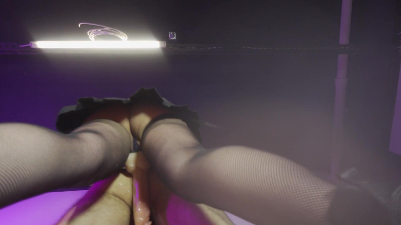 DPeggingD: Puan hilang kawalan menambat pantat saya