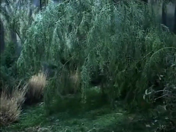 Vintage megastore: Skinny blonde assfucked in a castle