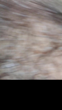 Monster’s Ultimate Cum Collection 14