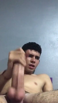 Perrita Quieres Leche Para Darte En La Boca