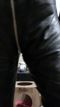 Pumped Cock