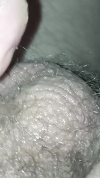 Petit pénis