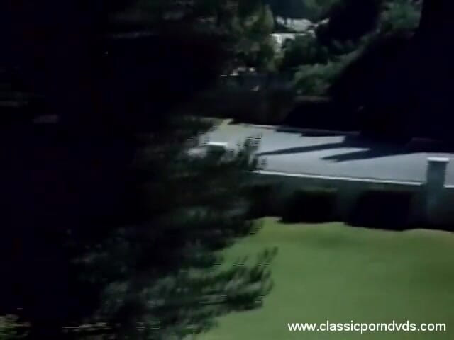 Classic Porn DVDs: Klassieke porno-dvd: Marilyn Chambers onverzadigbare p