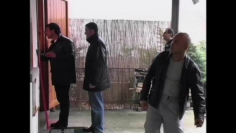 Big Bamboo Trans: 别进那房子