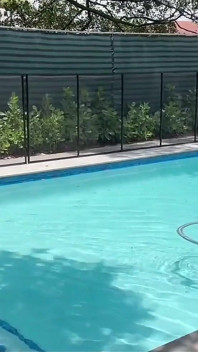 Le gars de la piscine