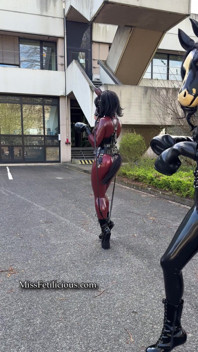 Latex Pony