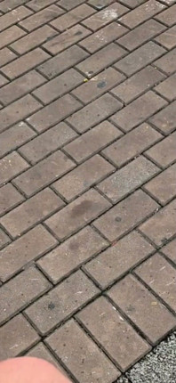 I'm Going to Kick Your Ass with My Size 45 Foot - 12½ Inches