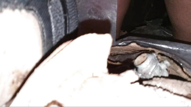 Pharoah Zeus: Pantat akhir dubur Back Alley dipotong