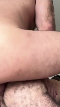 Masivo padrastro folla pequeño oso peludo