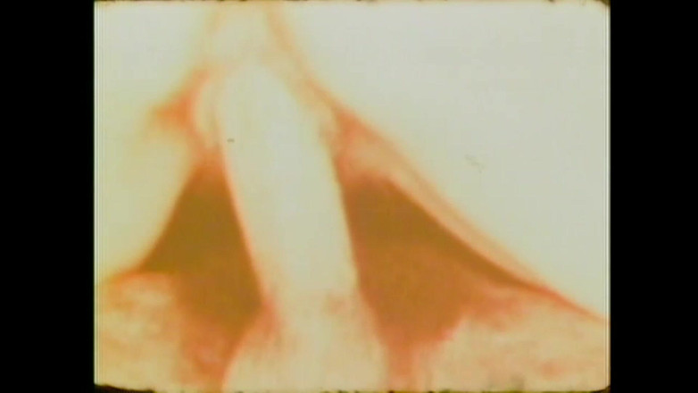 Vintage Megastore Full hd: Candida Royalle, Pták sání prasat