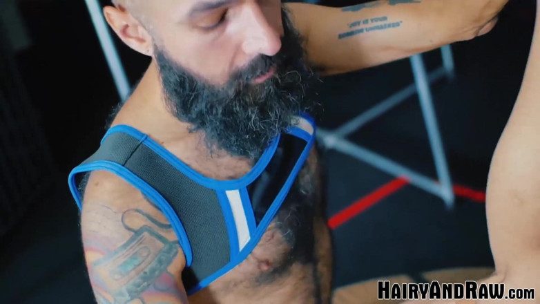 Hairy And Raw: Hairyandraw - Andrex Xandrex, poilu, se fait baiser sans capote par...