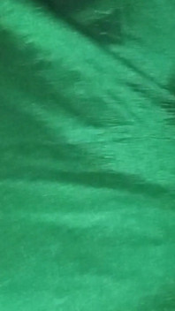 印度同性恋变装者gaurisissy穿着绿色纱丽XXX，感觉性感。