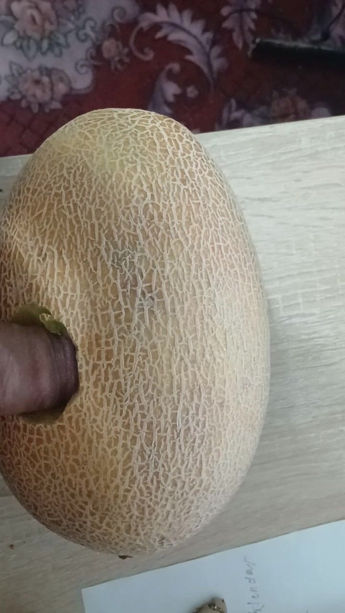 AlexCat: A Melon Named Yulia