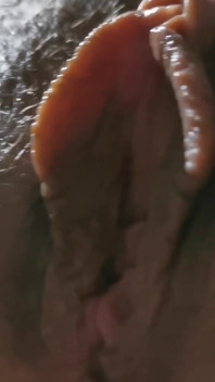 Close-up on Pussy