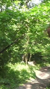 Ragazza porca che sporcacciona e che urina in un parco