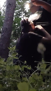 Jag knullar min styvsyster i munnen i skogen så att hennes pojkvän inte fångar oss