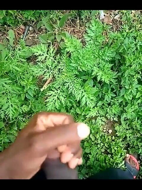 Haydenbbc: Haydenbbc