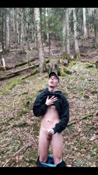 In the Forest