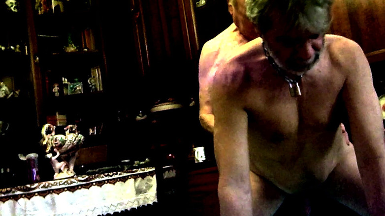 Nypster: Đụ mạnh kiểu chó không bao cao su