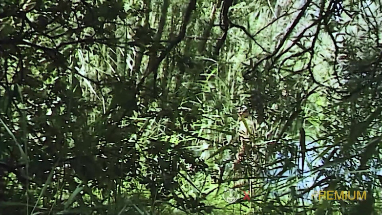 Sextermedia by Pete: Blonde Filmed During Outdoor Masturbation