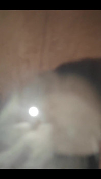 749771317682647040.mp4